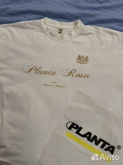 Planta rosa футболка