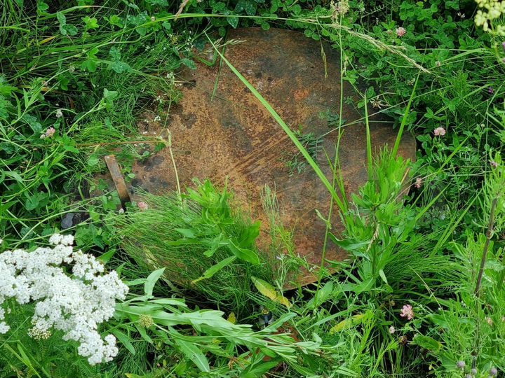 Участок 8,8 сот. (ИЖС)