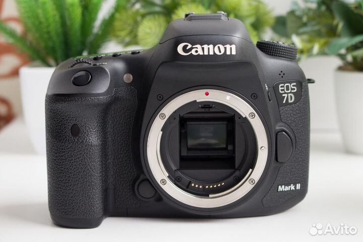 Canon 7D Mark II (Пробег 27 тысяч)