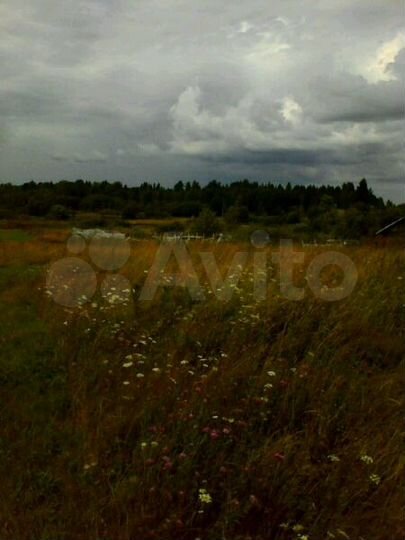 Участок 5 га (СНТ, ДНП)