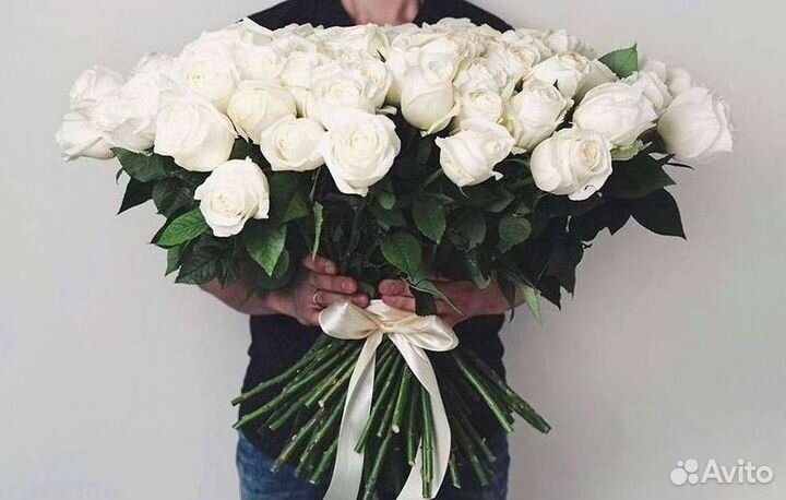 Высокие розы Гигантские розы 110