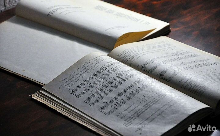 Элементарная теория музыки, музыкальная грамота