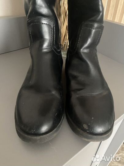 Сапоги zara
