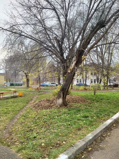 1-к. квартира, 36 м², 1/4 эт.