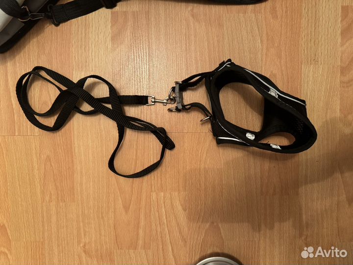 Набор для щенка