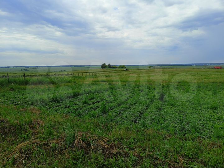 Участок 33 сот. (ИЖС)