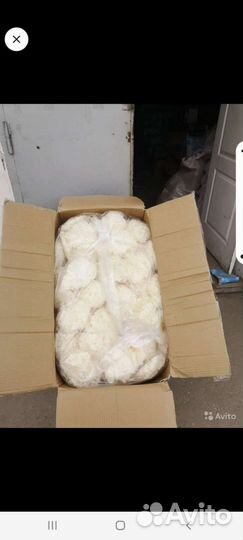 Грыбы белые сушёные