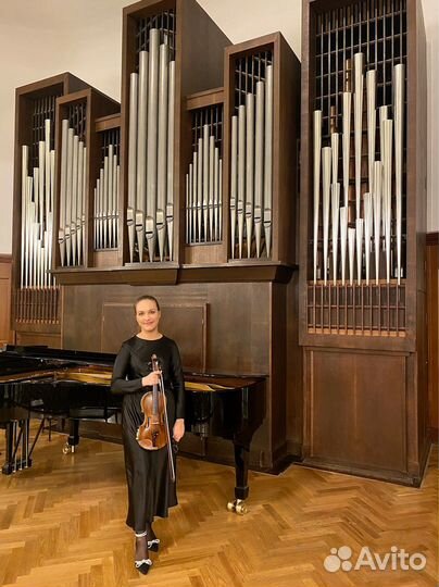 Репетитор по скрипке