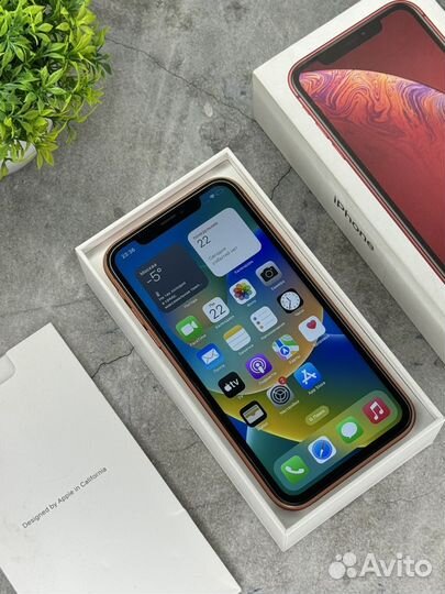 iPhone Xr, 128 ГБ