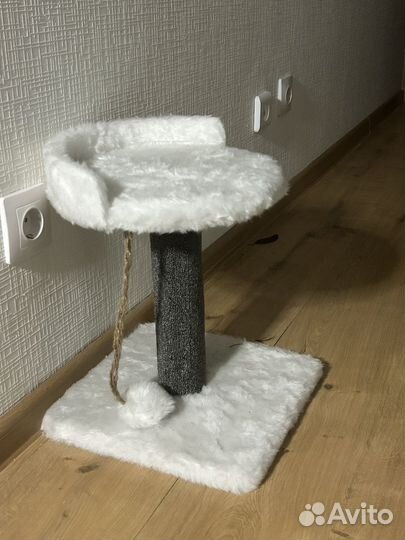 Когтеточка