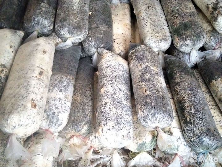 Грибные блоки вешанка