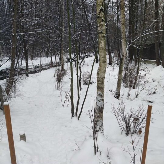 Участок 24 сот. (ИЖС)