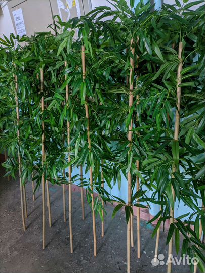 Искусственный бамбук изгородь, ширма