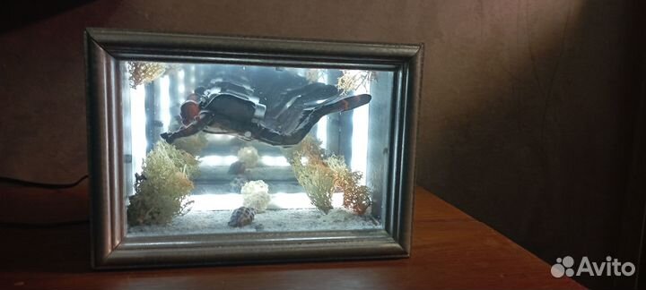 Ночник дайвер