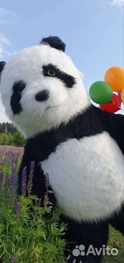 Поздравление - Панда на праздник