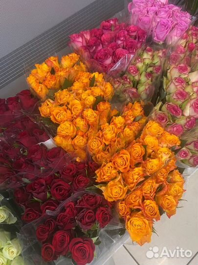 Новое поступление кенийских роз