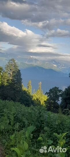 Такси по месту и краю