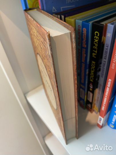 Борис Акунин книги