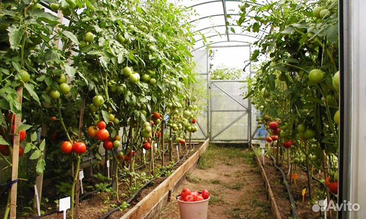 Капельный полив Жук от ёмкости на 30 растени новый