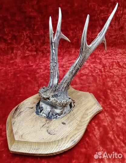 Настенное панно 