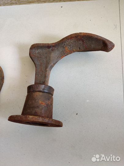 Лапа башмачника (сапожника)