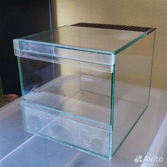 Террариум для паука