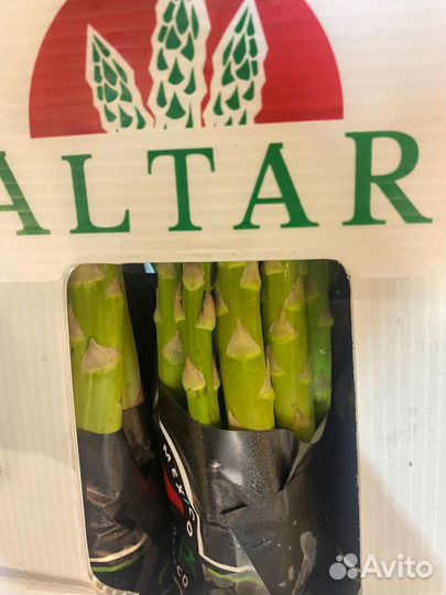 Спаржа свежая