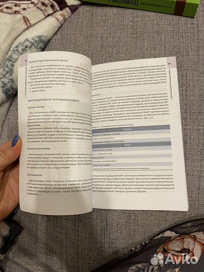 Эхокардиография, эхокг, лутра