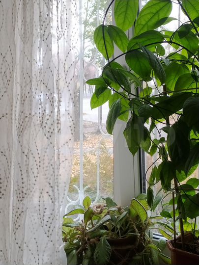 2-к. квартира, 44 м², 1/5 эт.