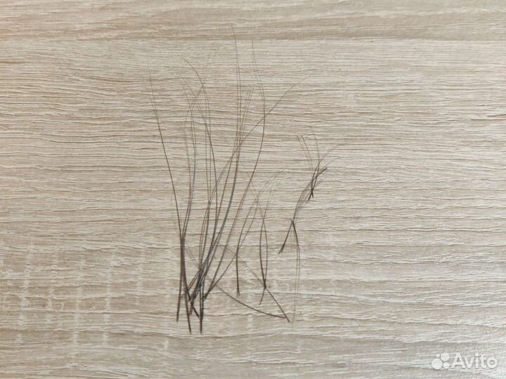 Ласковые усы кота вибриссы серые черные 5-10 см