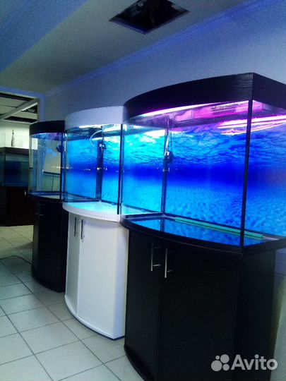 Аквариум200,биофильтр, свет, фон, подставка