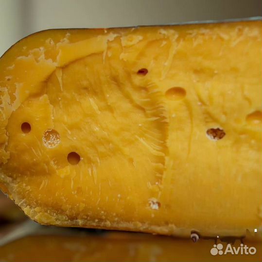 Сыр Грюйер