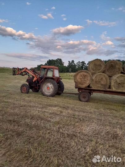 Сено степовое в рулонах