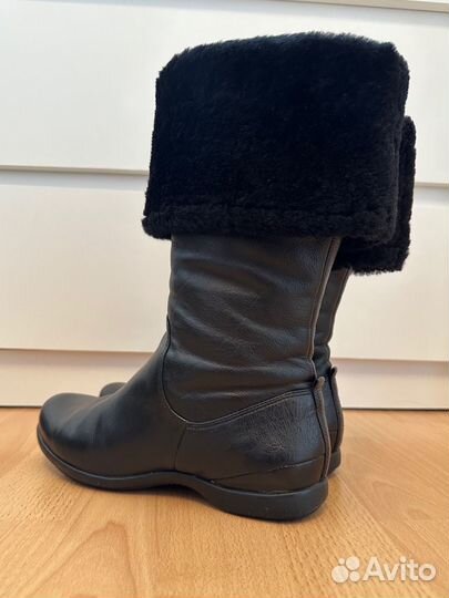 Сапоги женские