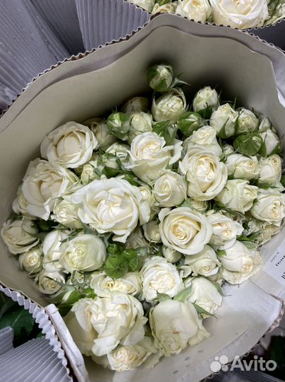 Кустовая пионовидная роза