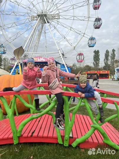 Няня для ребенка и сопровождений авто няня