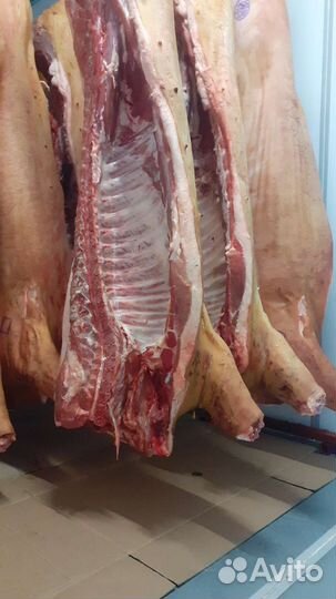 Мясо опт и розница