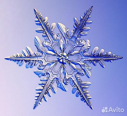 Ремонт холодильников