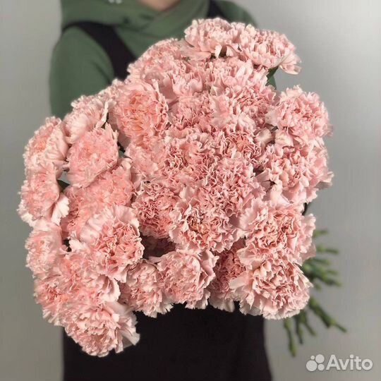 Диантусы Букеты Композиции с Доставкой