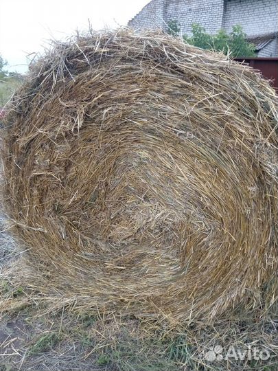 Сено солома овсяная в рулонах 350кг
