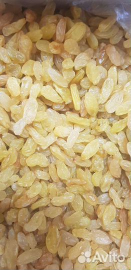 Изюм Джамбо золотой