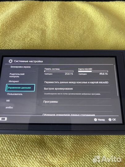 Nintendo switch lite прошитая
