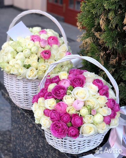 Шикарные букеты 101 роза цветы не пионы кустовые