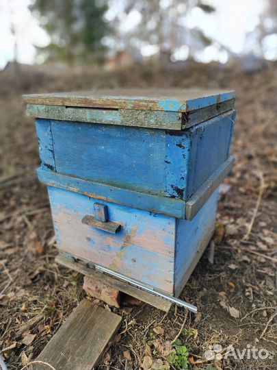 Улей для пчел домик