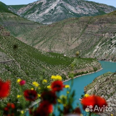 Кавказ, Дагестан