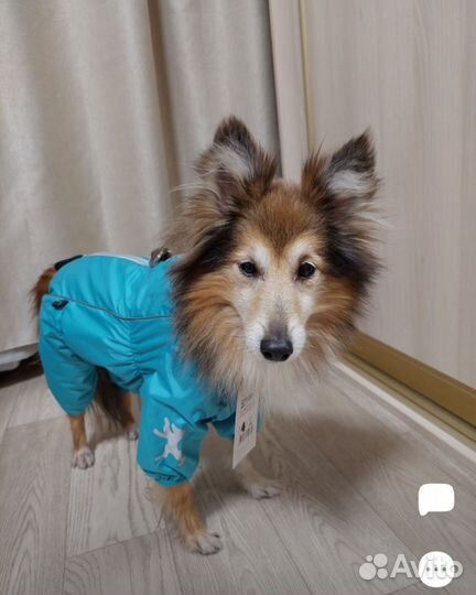 Комбинезон на собачку (fem)