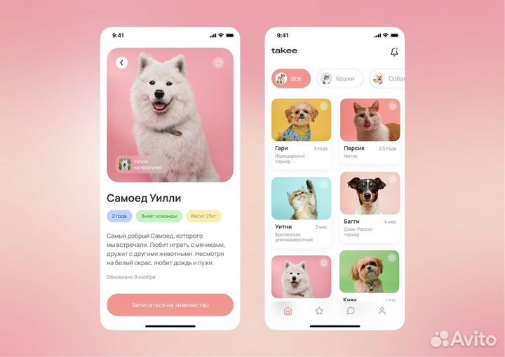 Графический дизайнер /Иллюстратор