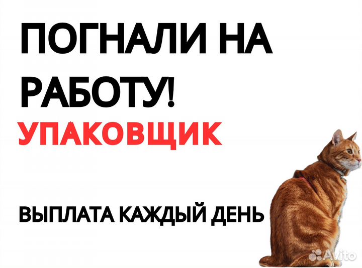 Упаковщик / Ежедневная подработка оз0460