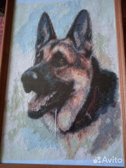 Овчарка. Вышивка крестиком