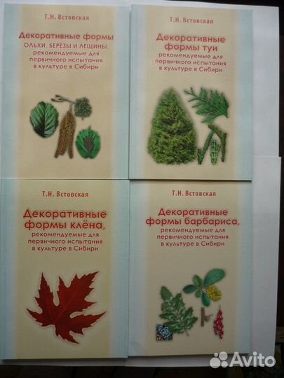Т.Н. Встовская Декоративные формы клена рекоменду